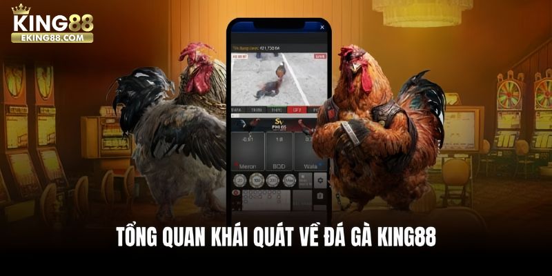 Tổng quan khái quát về đá gà King88