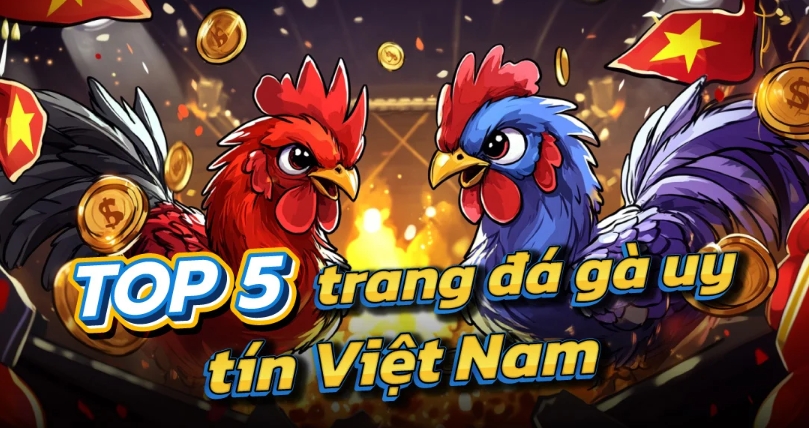 Top 5 Trang Đá Gà Uy Tín Nhất 2025 Được Bình Chọn